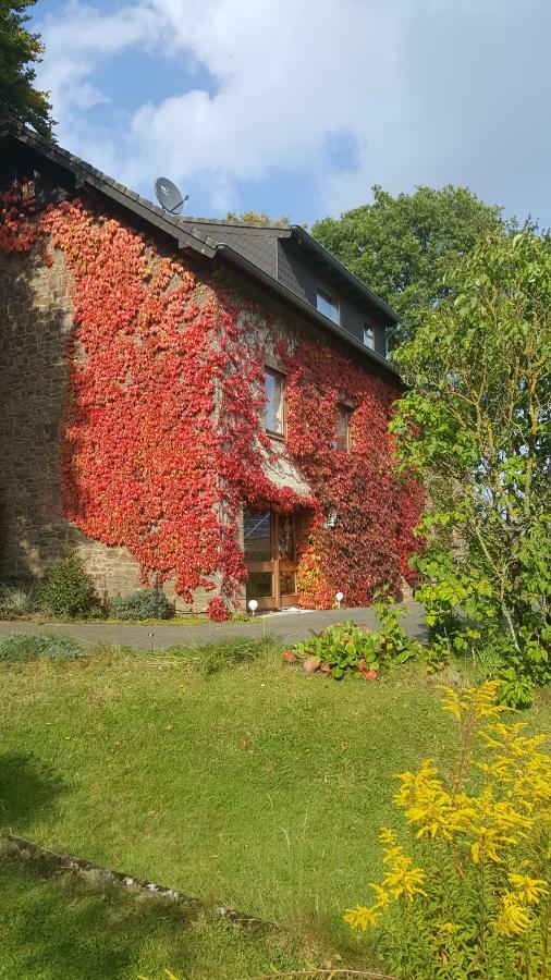 Ferienhaus Gisela Villa Hellenthal Dış mekan fotoğraf